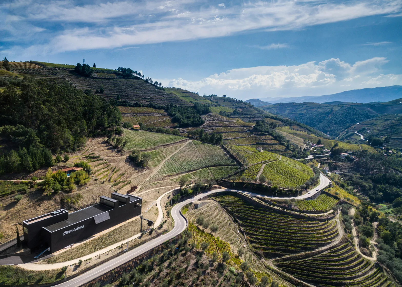 Wijndomein in de Douro-vallei